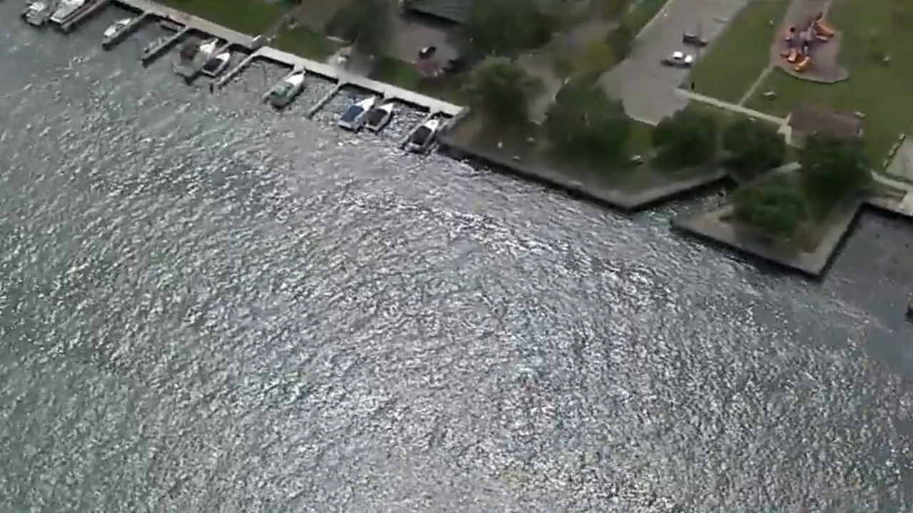 11yearold boy drowns after falling into Detroit River in...